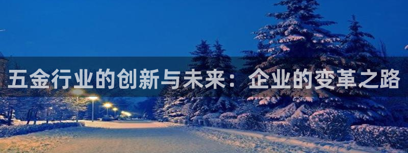 琳琅娱乐工作室怎么样啊