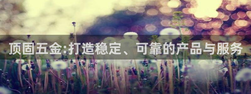 琳琅娱乐代理怎么做的
