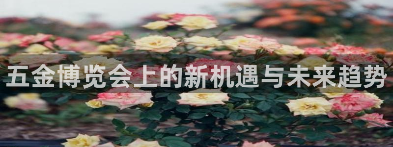 梧州琳琅娱乐城