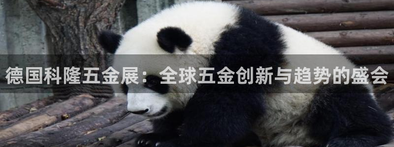 琳琅娱乐直播