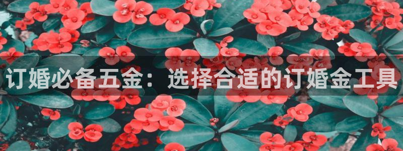 琳琅娱乐4120051