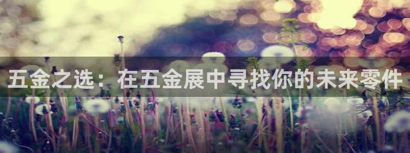 琳琅娱乐温柔乡网站
