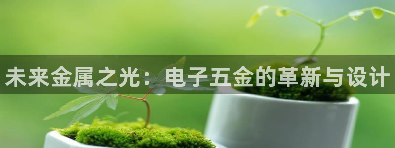 琳琅娱乐天美2