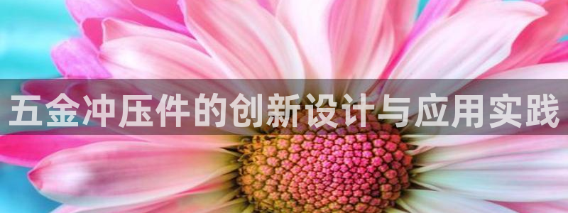 琳琅娱乐总代